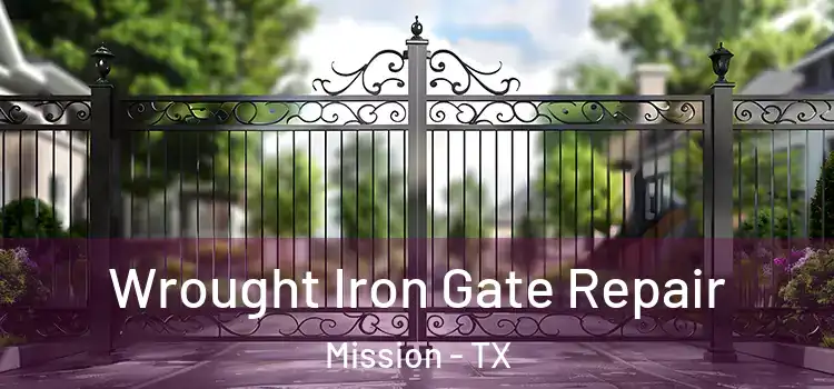 Wrought Iron Gate Repair Mission - TX